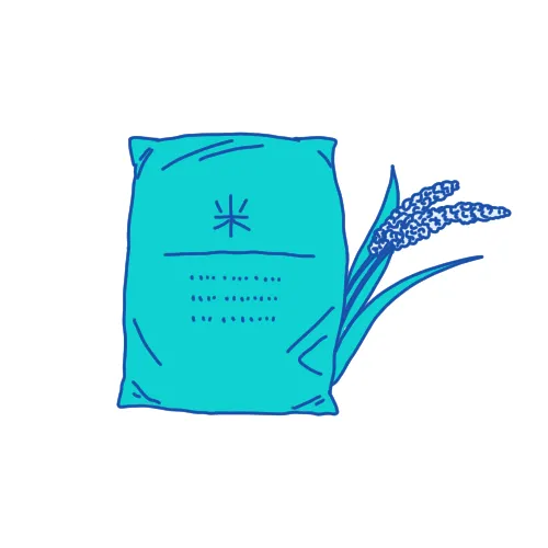 毎年10月に新米をお届け